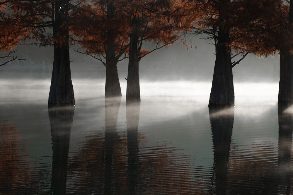 Фотография автора Юлия Воронова