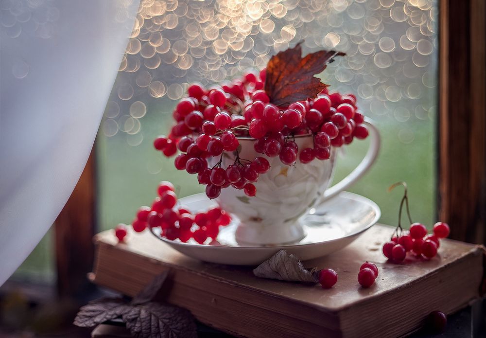 Первые заморозки