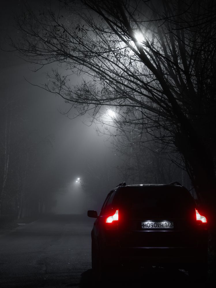 Photograph by Виктория Попкова