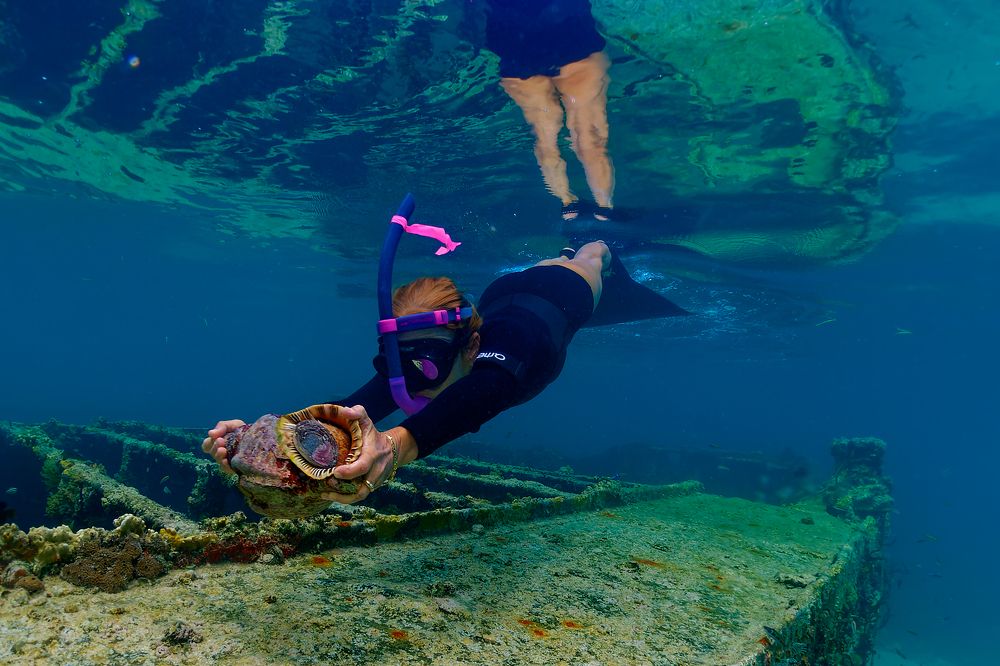 Photograph by Alain NEGRONI