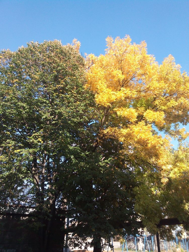 Photograph by Яна Сиволобова