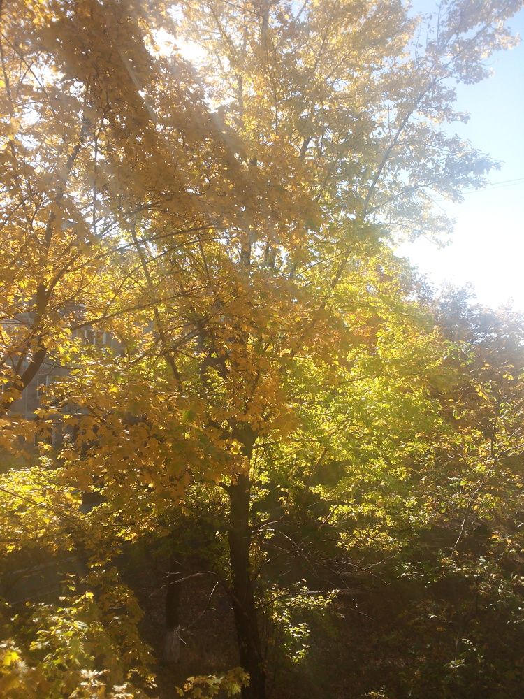 Photograph by Яна Сиволобова