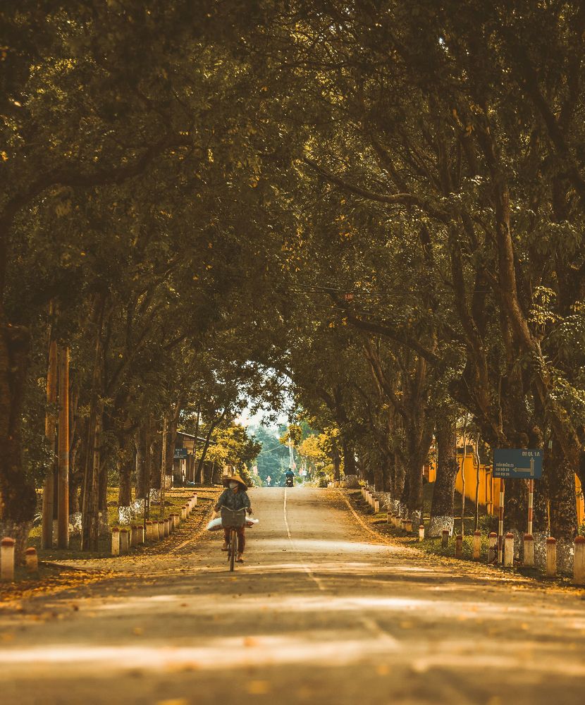 Фотография автора Đào Cảnh