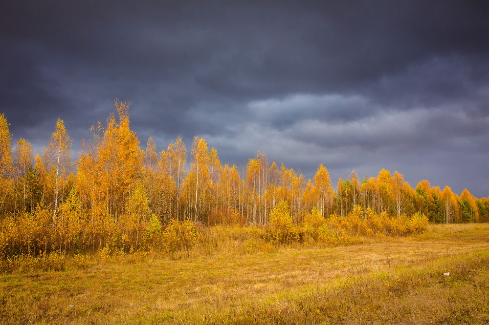 Photograph by Алёна Топорова