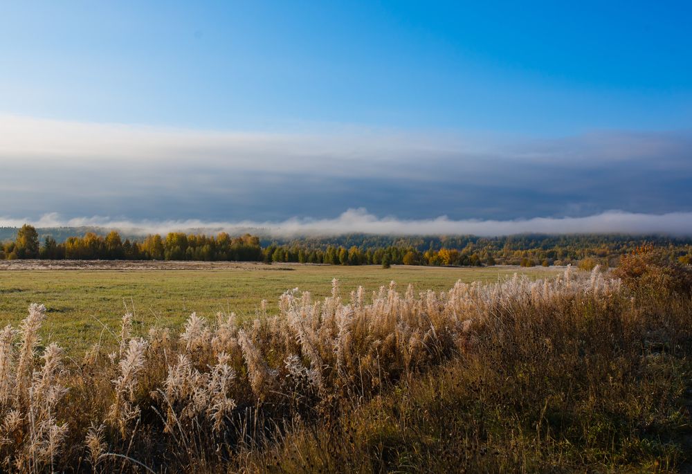 Photograph by Алёна Топорова