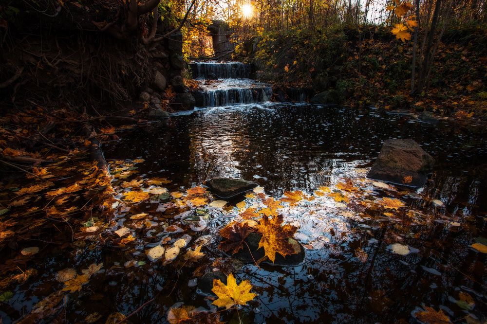 Photograph by Смоляк Максим Дмитриевич