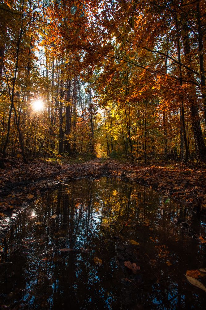 Photograph by Смоляк Максим Дмитриевич