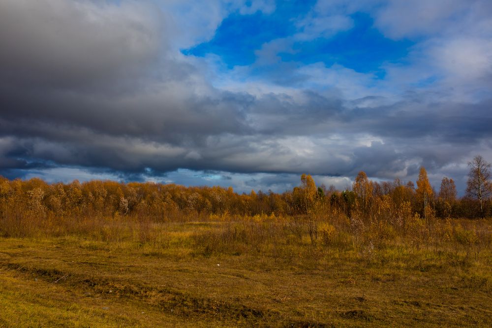 Photograph by Алёна Топорова