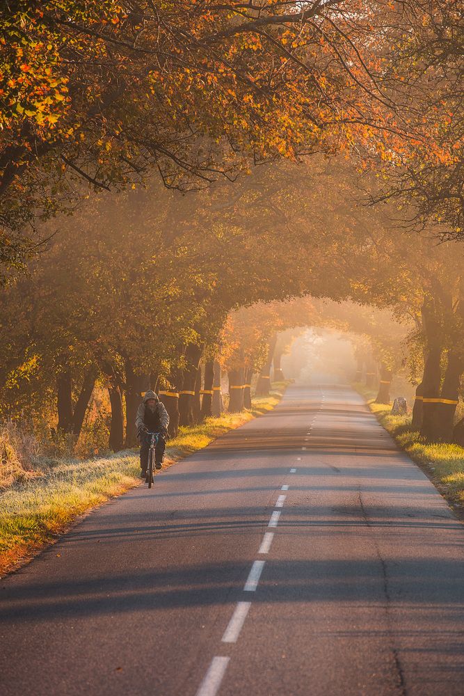 Photograph by Смоляк Максим Дмитриевич