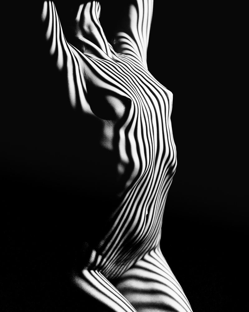 Фотография автора Александр Трофимчук