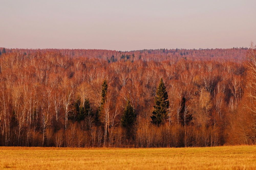 Photograph by Константин Лагоденко