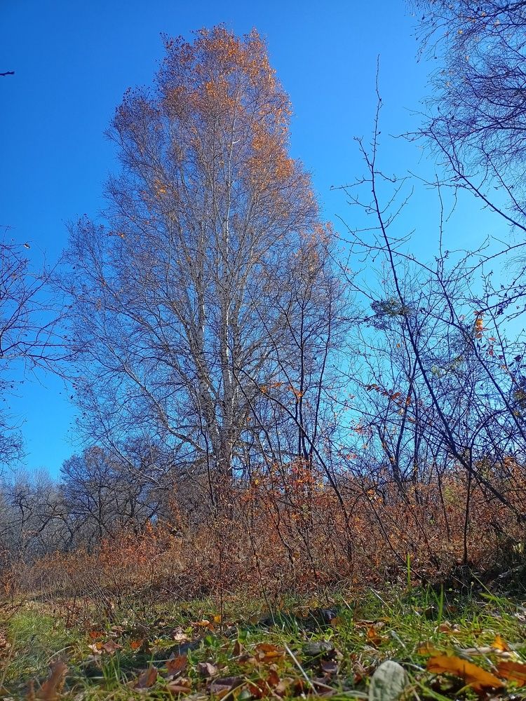 Photo #6674130