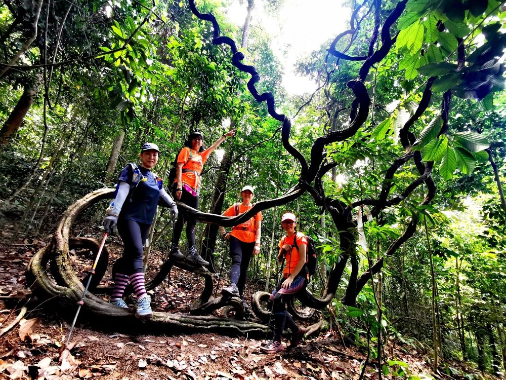 Photograph by Chunhou Poon