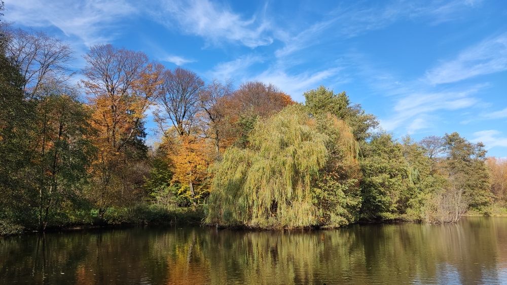 Photograph by Алена