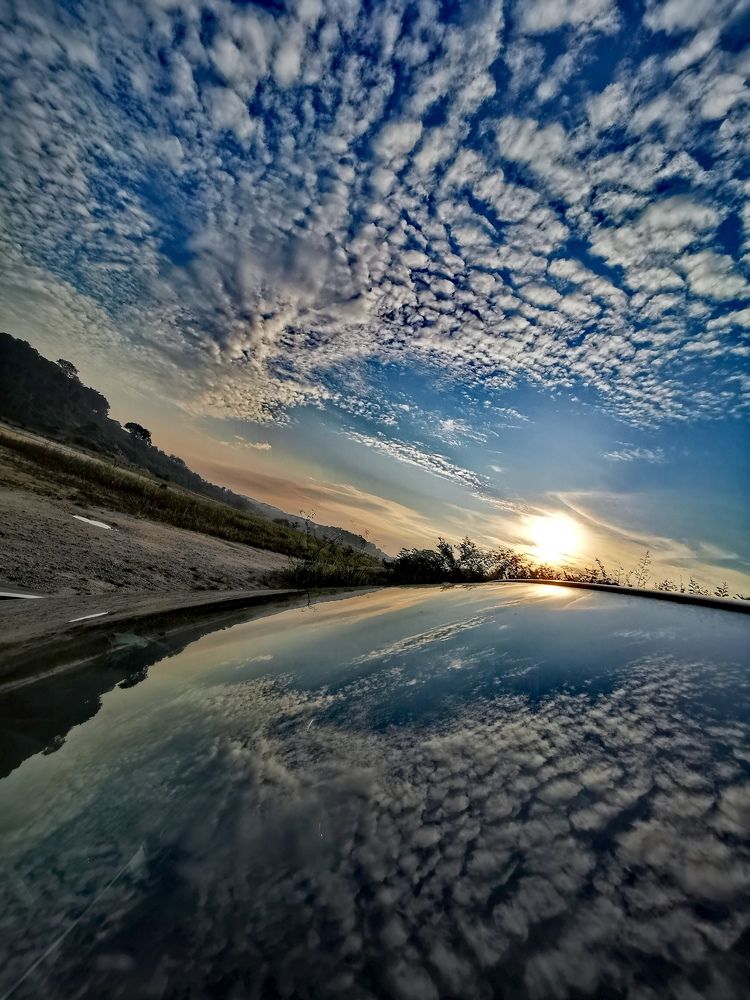 Photograph by Chunhou Poon