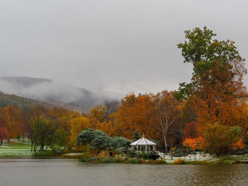 Фотография автора Olena Vorotyntseva