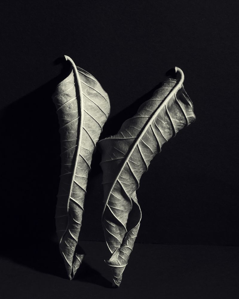 Photograph by Aliaksei Shandalin