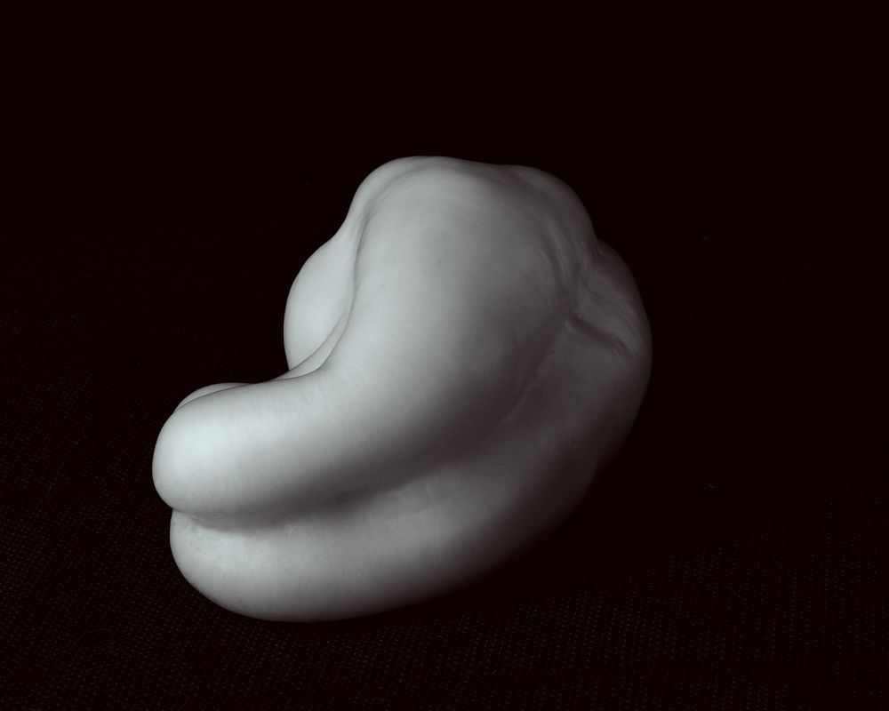 Photograph by Aliaksei Shandalin