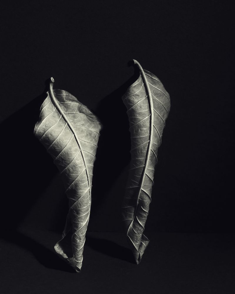 Photograph by Aliaksei Shandalin