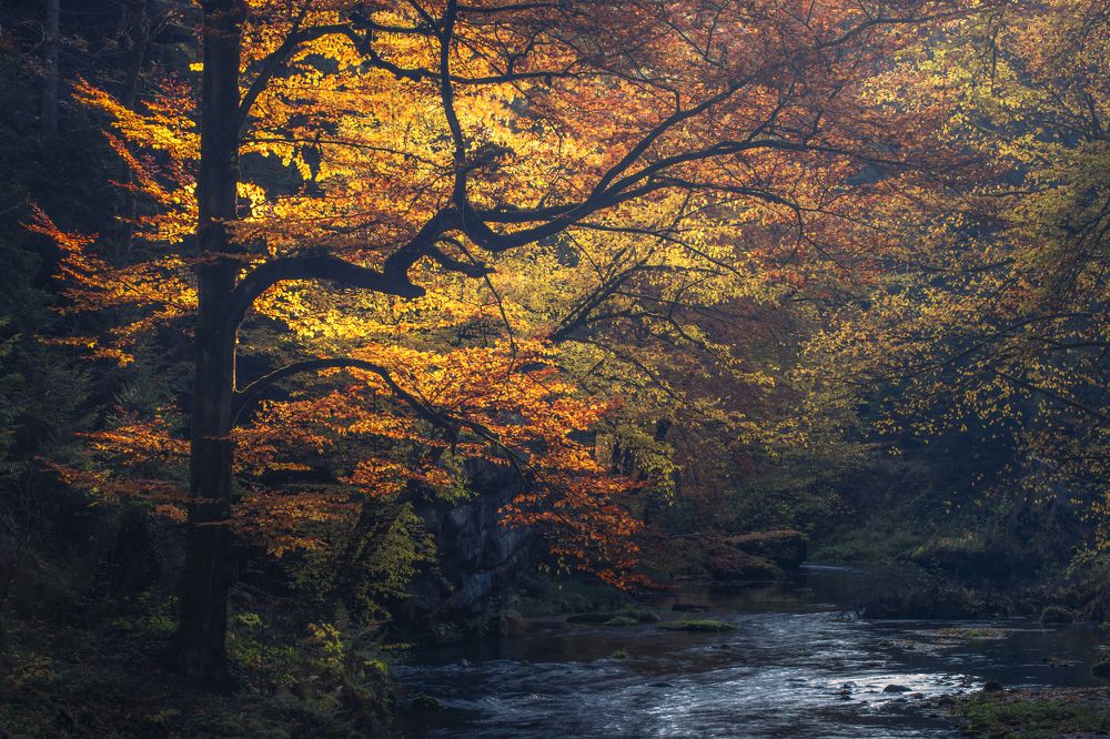 Photograph by Luboš Prchal