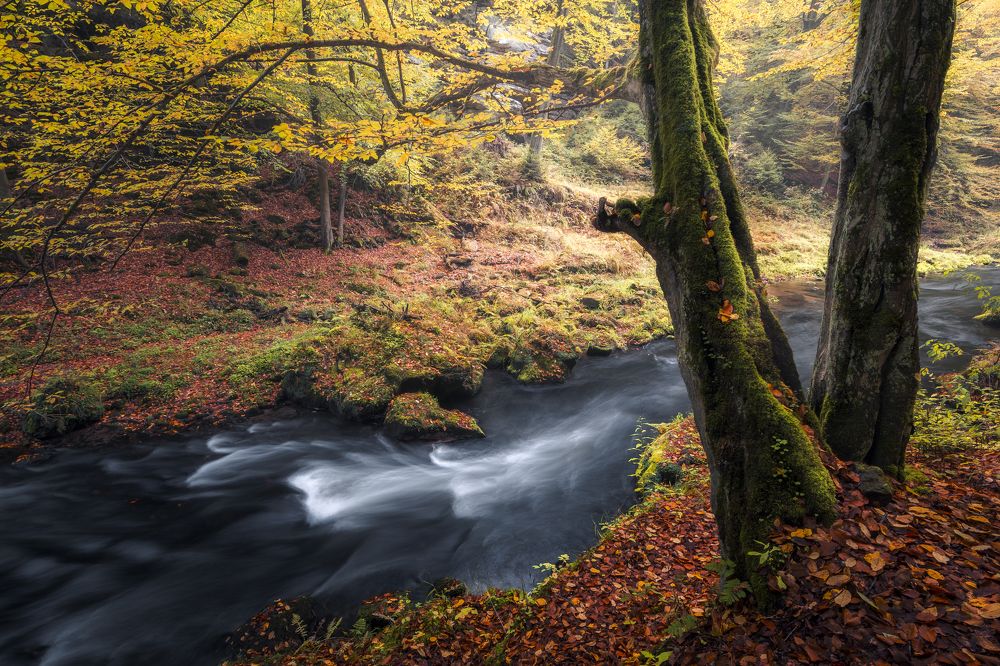Photograph by Luboš Prchal