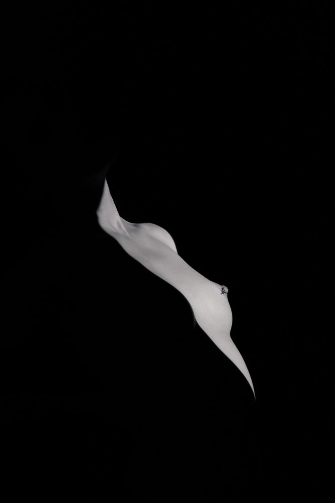 Photograph by Мешков Кирилл