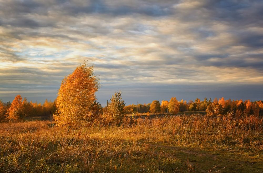 Ветер, ветер! Ты могуч!..