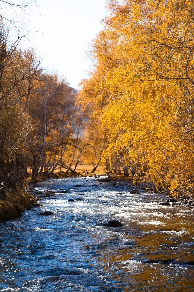 Photograph by Мешков Кирилл