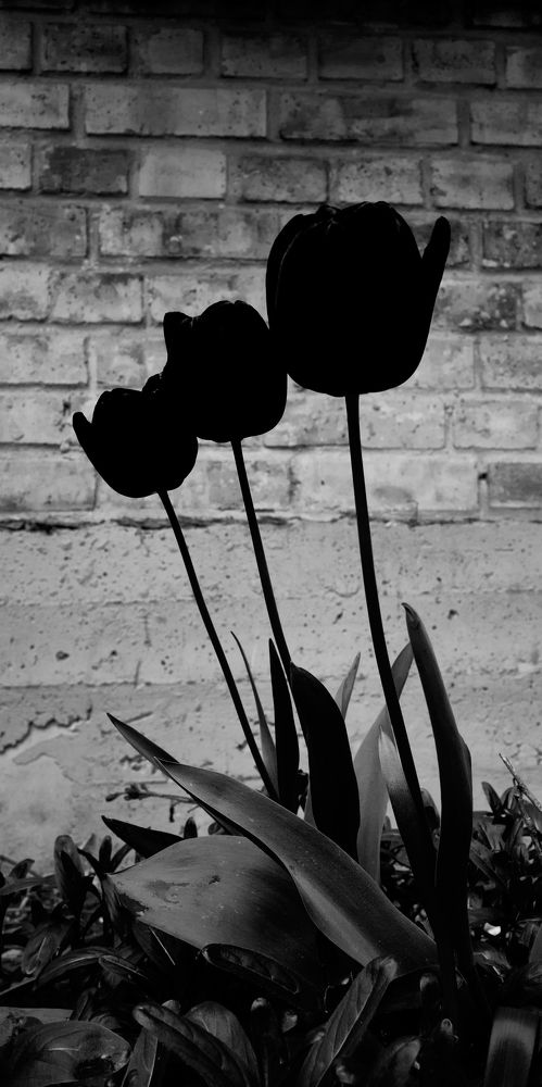 Photograph by Roman Bernatskyi