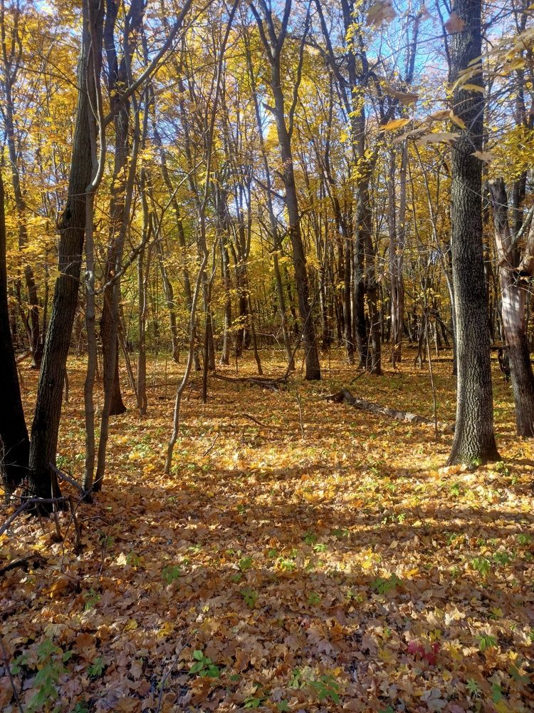 Photograph by Елизавета Мишина