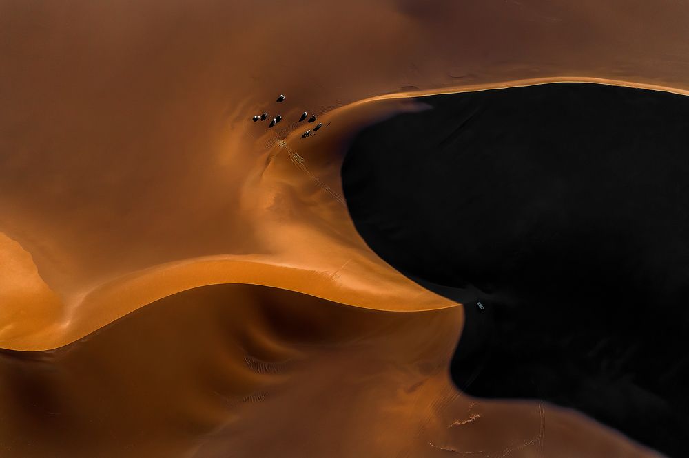 Desert View as a bird