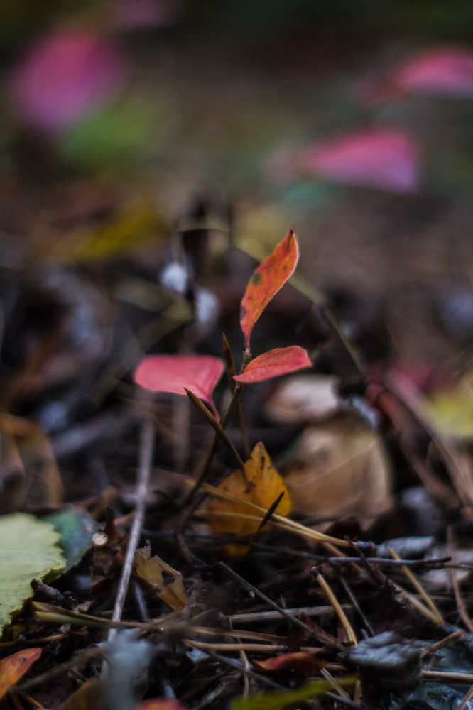 Photograph by Юлия