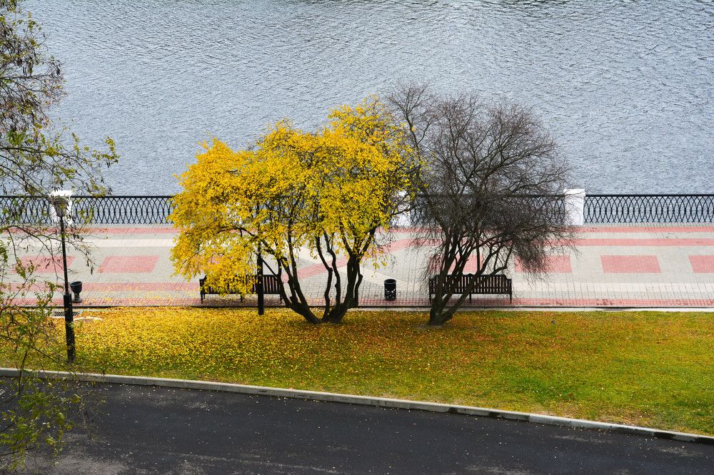 Фотография автора Юлия Кузнецова