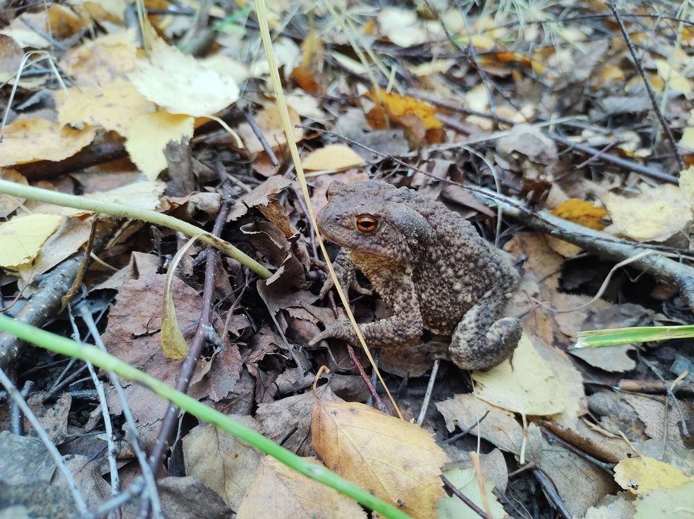 Photograph by Александра