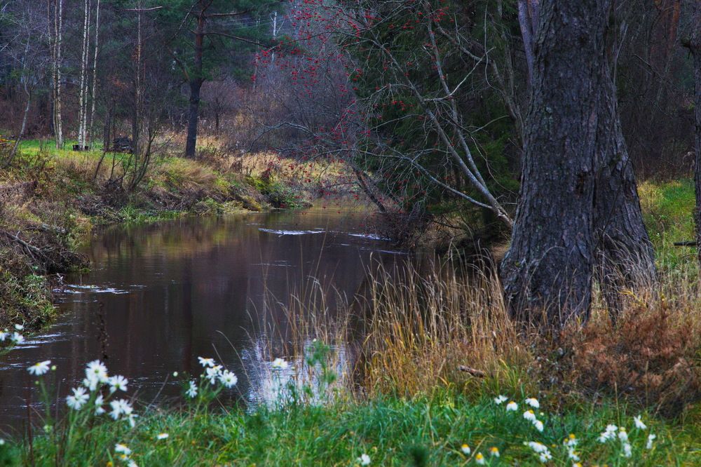 Конец октября...Питер...!)