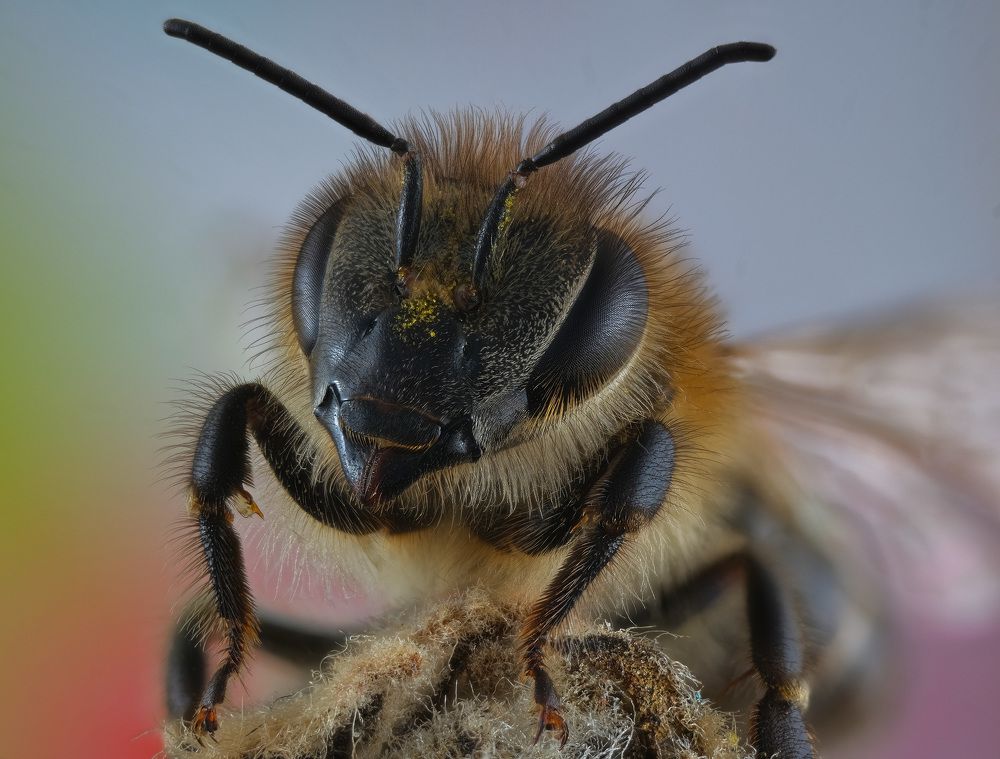 Photograph by Юрьевич Юрий