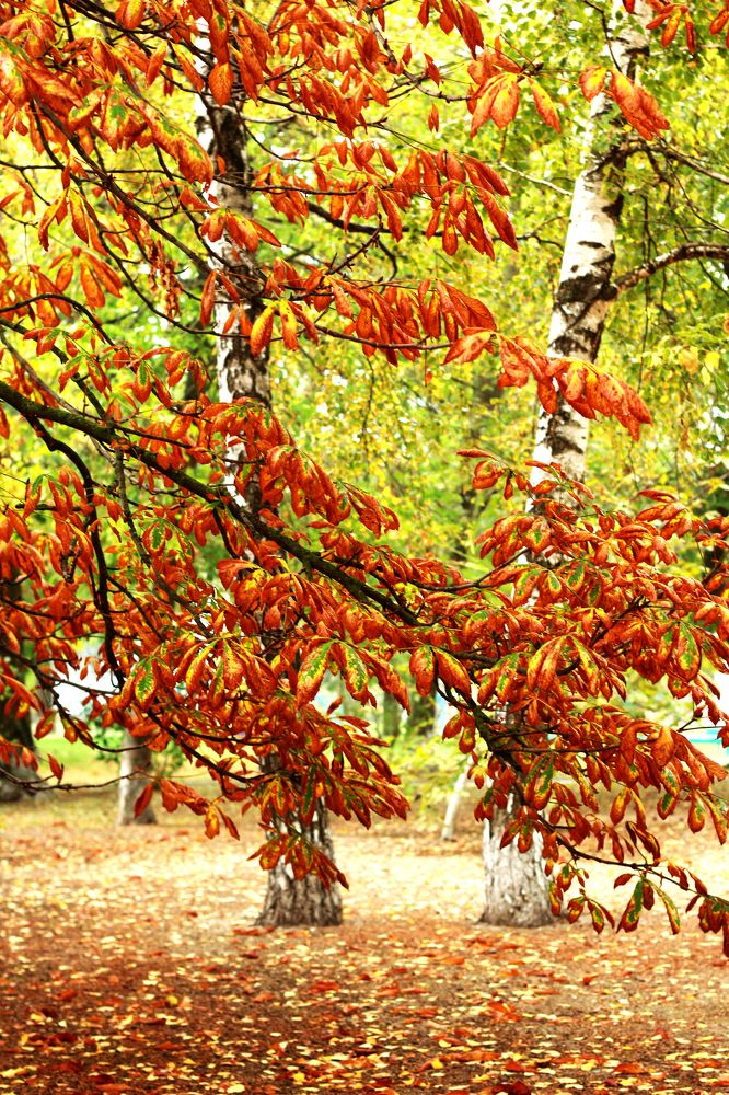 Photograph by Владимир Харчиков