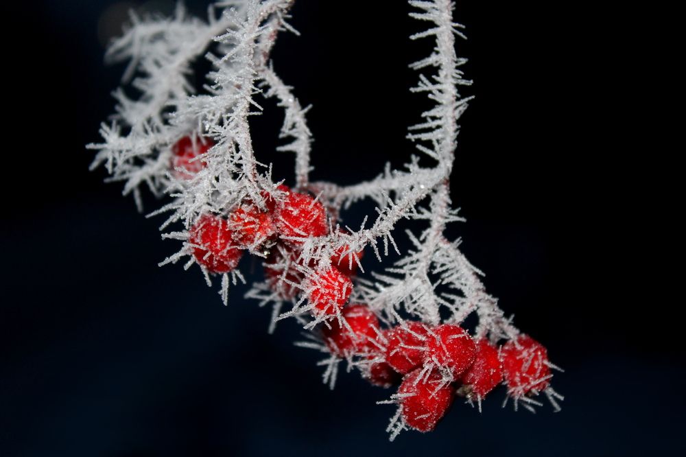 Photograph by Ирина Чечкина