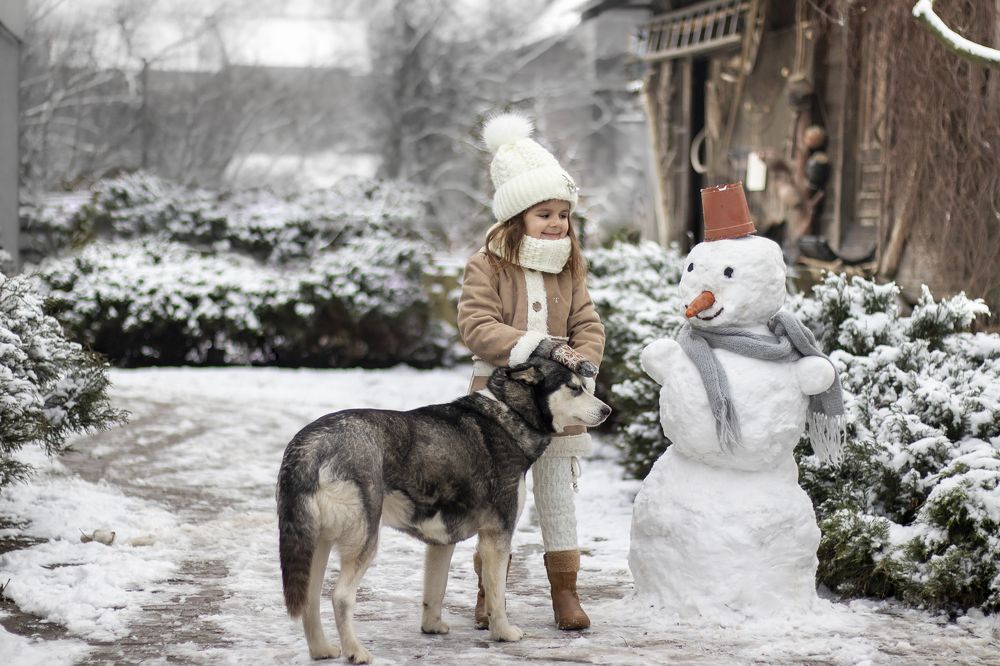 Photograph by Олеся Бучацька