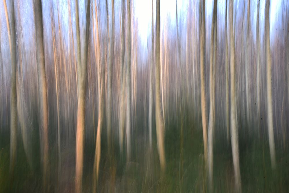 Фотография автора Коротков Алексей