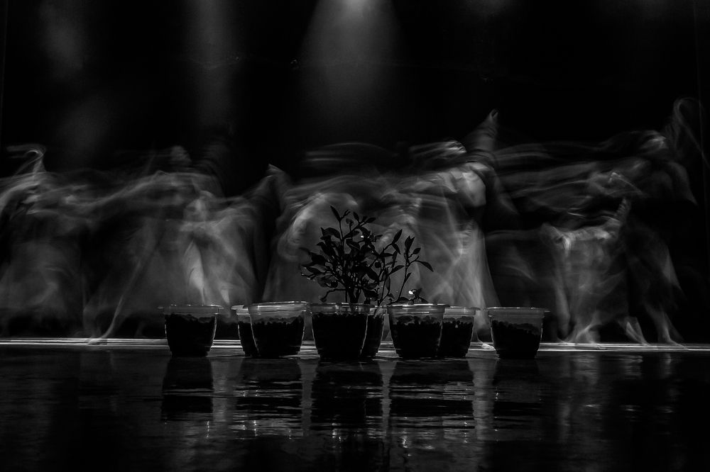 Фотография автора Руслан Тохтиев