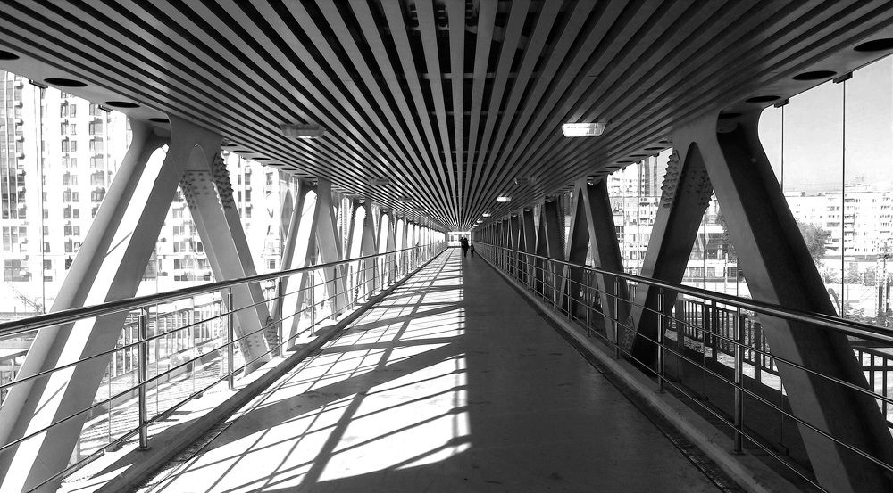 Photograph by Михаил Обертаев