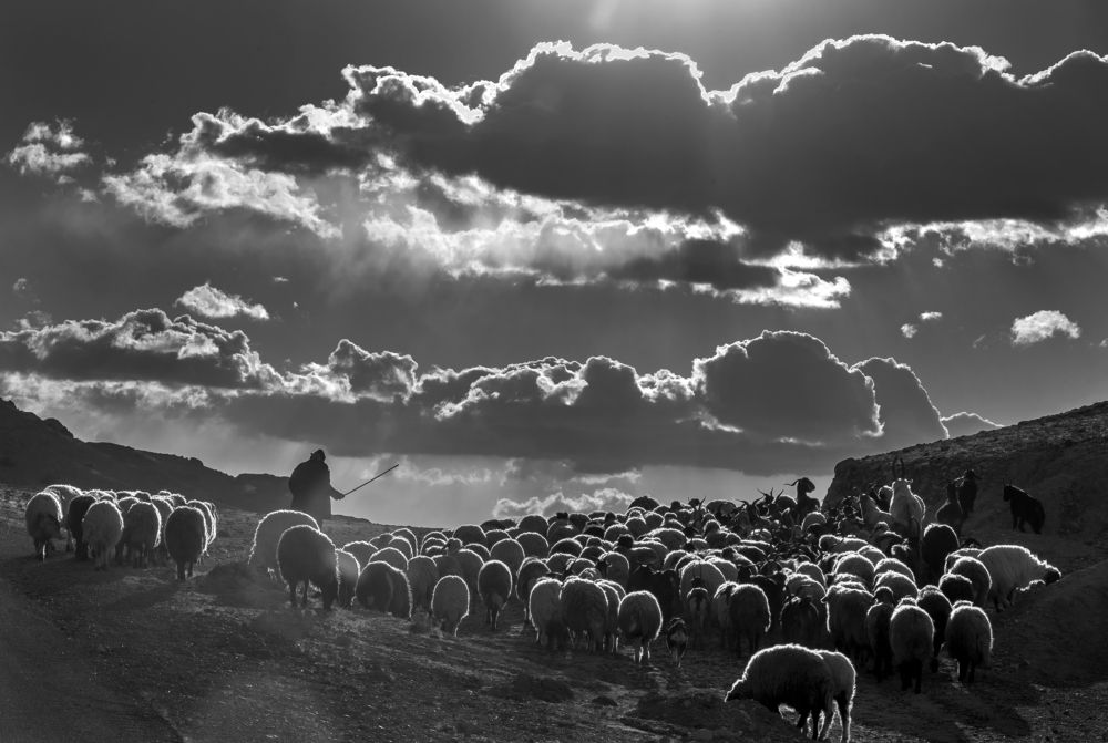 Photograph by Arman Mohammadi