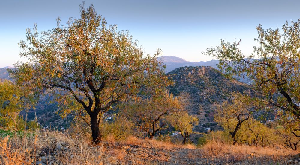 Photograph by Gary Browne