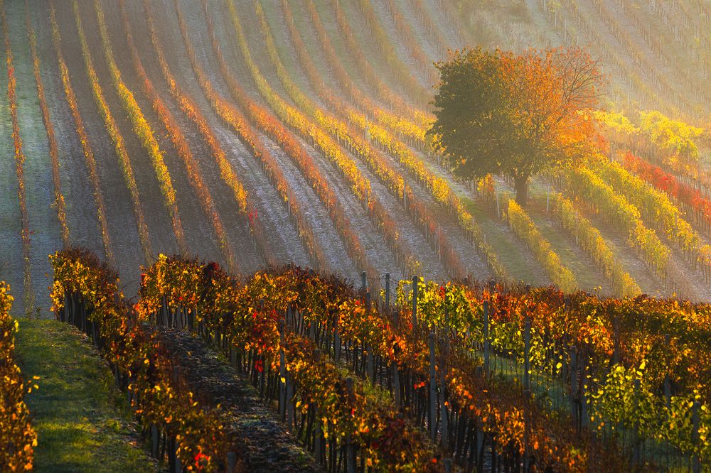 Photograph by Валерий Притченко