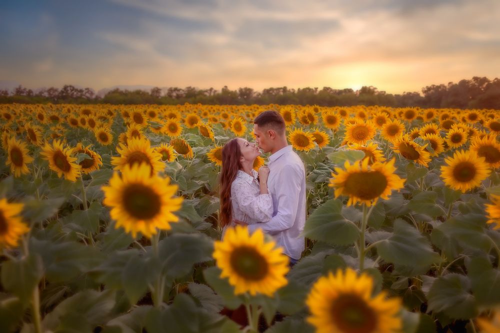 Солнечная любовь