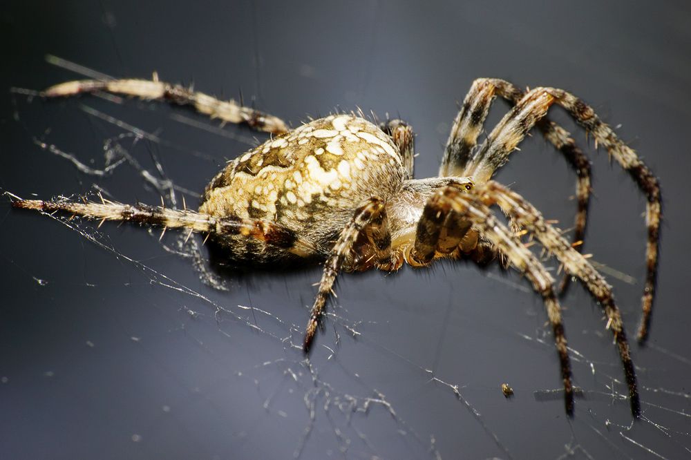 Photograph by Sergios  Kozmidis