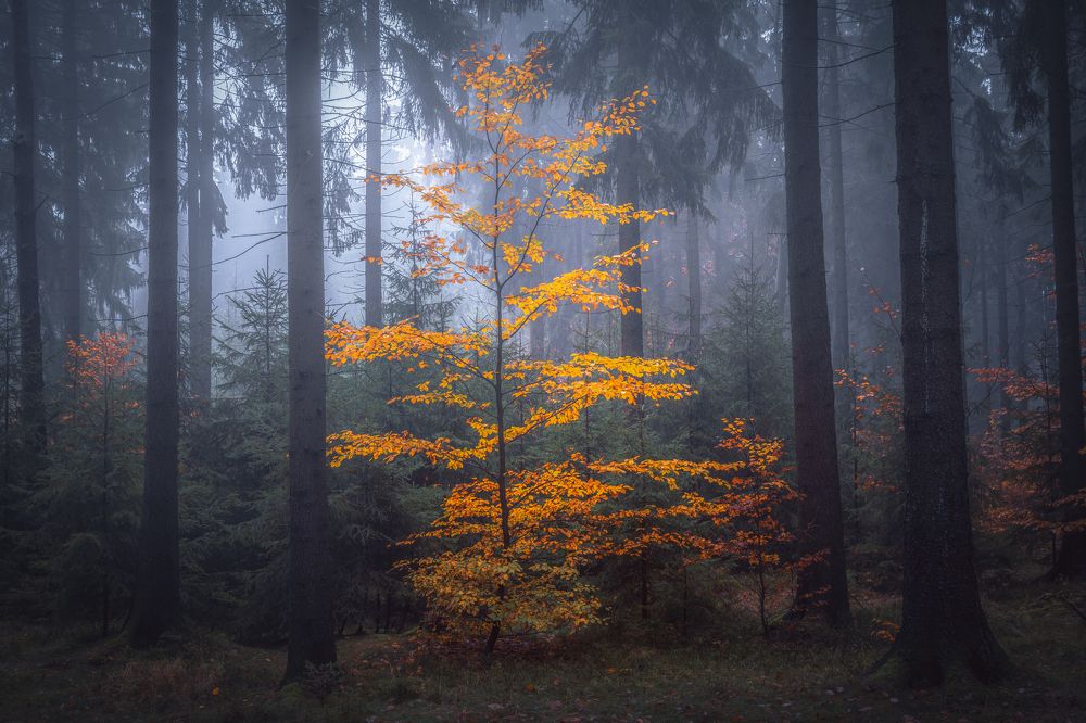 Photograph by Luboš Prchal