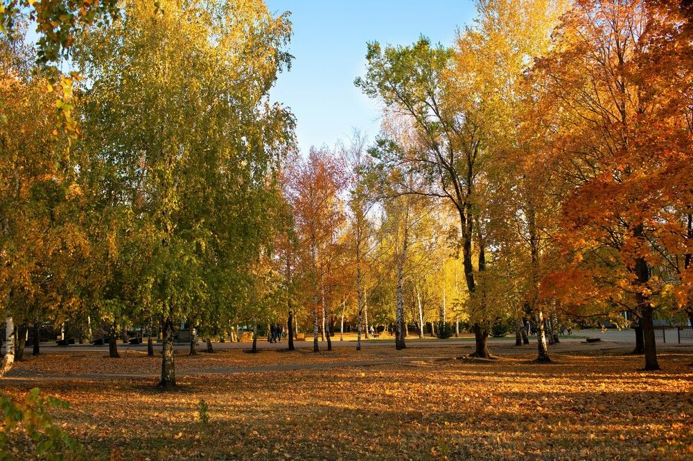 Photograph by Алена