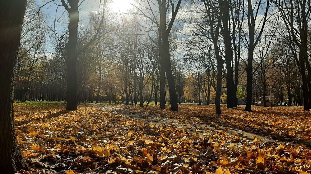 Photograph by Анастасия Зенкина